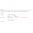 Auto Fill In Into Seo Keyword